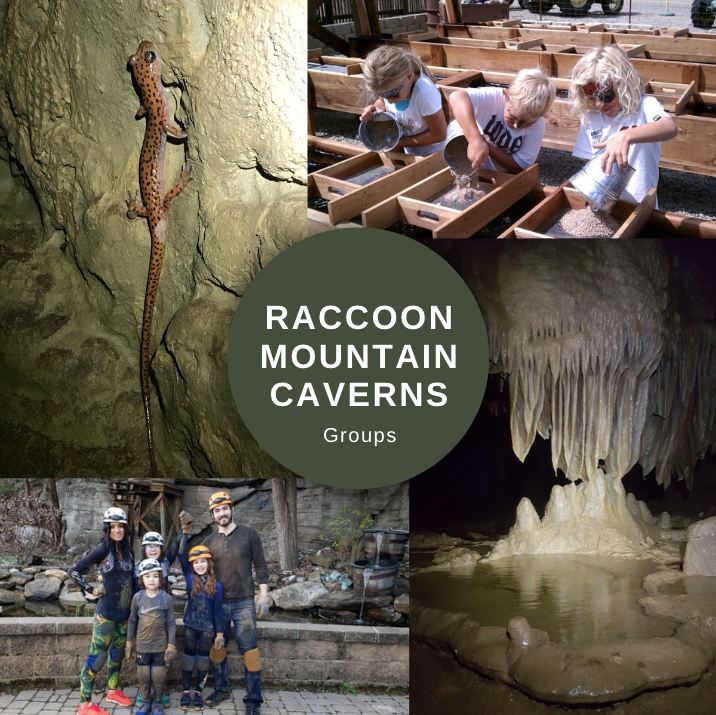 Raccoon Mountain Caverns formations, groups, events