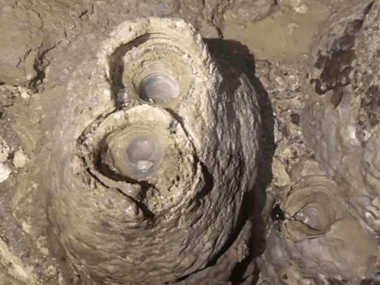 Cavern Eyes Formation